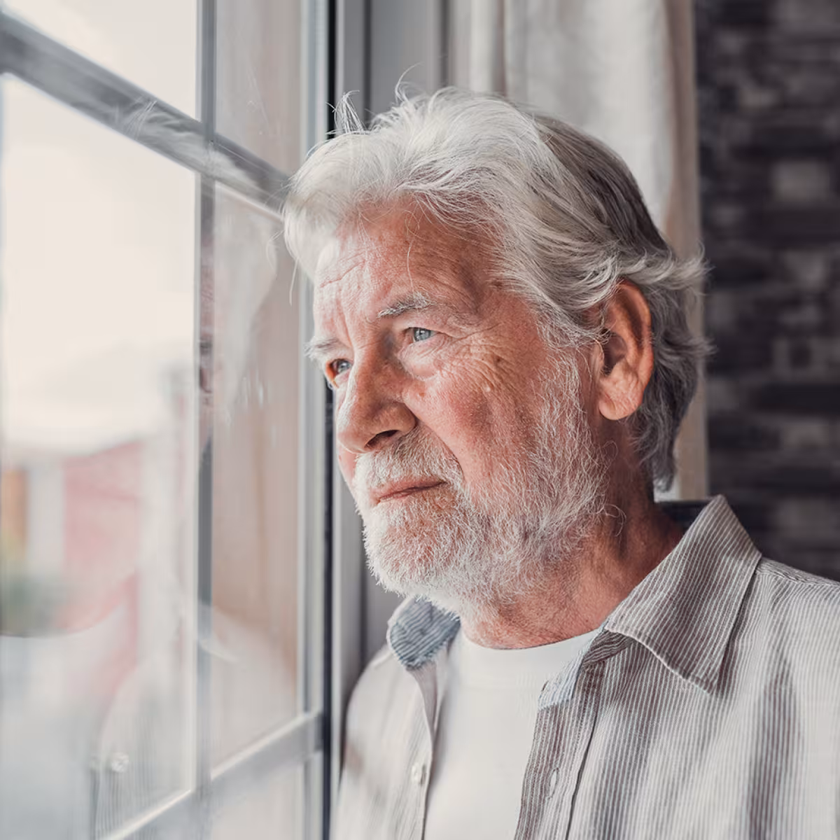 Evergreen Project |  | Domestic Abuse help for people over 55 years old