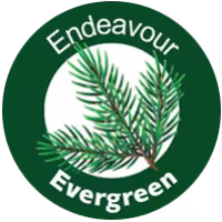 Evergreen Project: The changing face of domestic abuse