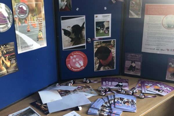 Pet Fostering Pet Fostering