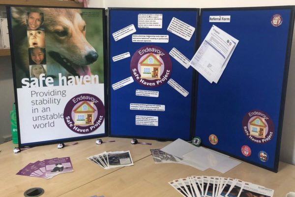 Safe Haven board Safe Haven board