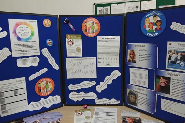 YDVA-and-YPDW-boards YDVA-and-YPDW-boards